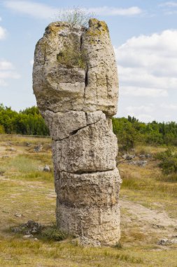 Taş çöl olarak da bilinen, dikilmiş taşlar. Varna eyaletinin ev formları. Bulgaristan 'ın kaya oluşumları. Taş orman.