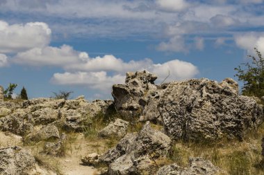 Taş çöl olarak da bilinen, dikilmiş taşlar. Varna eyaletinin ev formları. Bulgaristan 'ın kaya oluşumları. Taş orman.