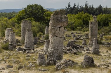 Taş çöl olarak da bilinen, dikilmiş taşlar. Varna eyaletinin ev formları. Bulgaristan 'ın kaya oluşumları. Taş orman.