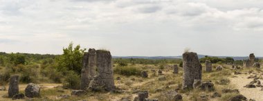 Taş çöl olarak da bilinen, dikilmiş taşlar. Varna eyaletinin ev formları. Bulgaristan 'ın kaya oluşumları. Taş orman.