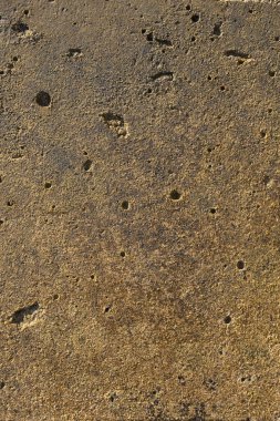 Evin duvarı. Beton kaplama. Çimento levha.