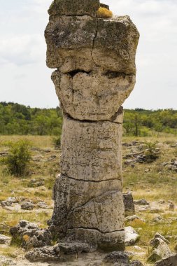 Taş çöl olarak da bilinen, dikilmiş taşlar. Varna eyaletinin ev formları. Bulgaristan 'ın kaya oluşumları. Taş orman.