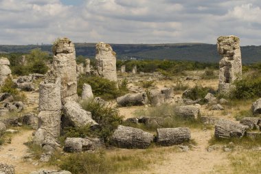 Taş çöl olarak da bilinen, dikilmiş taşlar. Varna eyaletinin ev formları. Bulgaristan 'ın kaya oluşumları. Taş orman.
