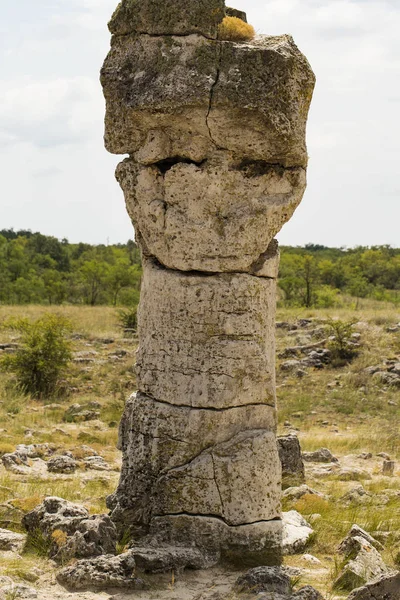 Taş çöl olarak da bilinen, dikilmiş taşlar. Varna eyaletinin ev formları. Bulgaristan 'ın kaya oluşumları. Taş orman.