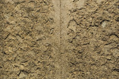 Evin duvarı. Beton kaplama. Çimento levha.