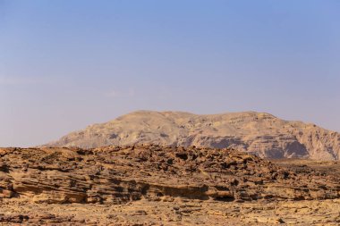 Renkli Kanyon, Sina yarımadasında bir kaya oluşumudur. Nuweiba, Mısır'ın görülmeye değer yerleri. Çölün florası.