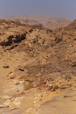 Renkli Kanyon, Sina yarımadasında bir kaya oluşumudur. Nuweiba, Mısır'ın görülmeye değer yerleri. Çölün florası.