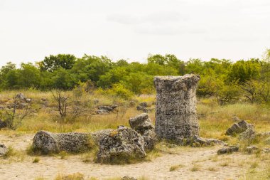 Taş çöl olarak da bilinen, dikilmiş taşlar. Varna eyaletinin ev formları. Bulgaristan 'ın kaya oluşumları. Taş orman.