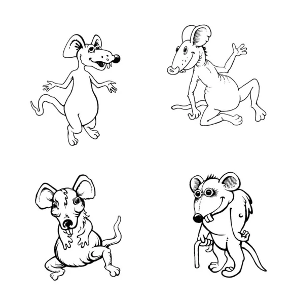 Ratte Grafische Zeichnung Schwarzweiß Porträtbild Von Tieren Illustrationen Für Kinder — Stockfoto