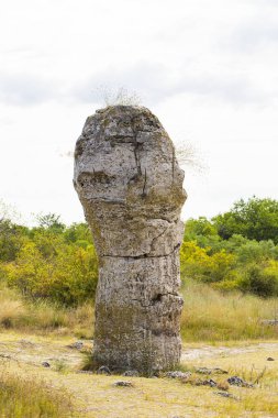 Taş çöl olarak da bilinen, dikilmiş taşlar. Varna eyaletinin ev formları. Bulgaristan 'ın kaya oluşumları. Taş orman.
