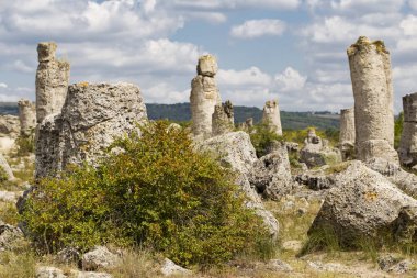Taş çöl olarak da bilinen, dikilmiş taşlar. Varna eyaletinin ev formları. Bulgaristan 'ın kaya oluşumları. Taş orman.