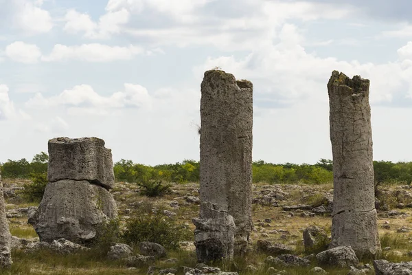 Pierres Plantées Également Connu Sous Nom Désert Pierre Landforms Varna — Photo