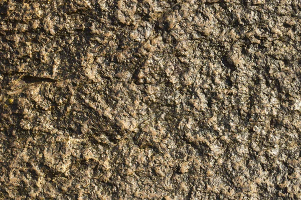 Placa Pedra Superfície Pedra Colorida Parede Casa Geologia Rochas Metamórficas — Fotografia de Stock