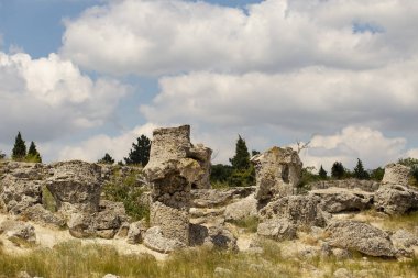 Taş çöl olarak da bilinen, dikilmiş taşlar. Varna eyaletinin ev formları. Bulgaristan 'ın kaya oluşumları. Taş orman.