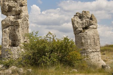 Taş çöl olarak da bilinen, dikilmiş taşlar. Varna eyaletinin ev formları. Bulgaristan 'ın kaya oluşumları. Taş orman.