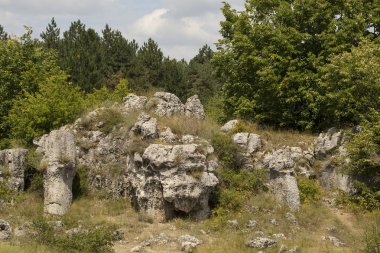 Taş çöl olarak da bilinen, dikilmiş taşlar. Varna eyaletinin ev formları. Bulgaristan 'ın kaya oluşumları. Taş orman.