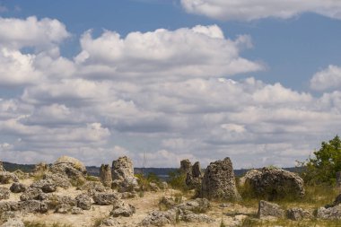 Taş çöl olarak da bilinen, dikilmiş taşlar. Varna eyaletinin ev formları. Bulgaristan 'ın kaya oluşumları. Taş orman.