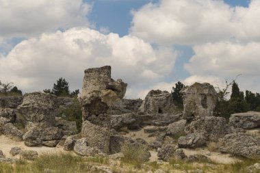 Taş çöl olarak da bilinen, dikilmiş taşlar. Varna eyaletinin ev formları. Bulgaristan 'ın kaya oluşumları. Taş orman.