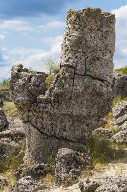 Taş çöl olarak da bilinen, dikilmiş taşlar. Varna eyaletinin ev formları. Bulgaristan 'ın kaya oluşumları. Taş orman.