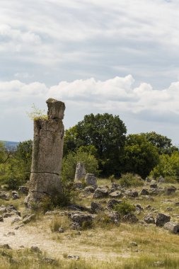 Taş çöl olarak da bilinen, dikilmiş taşlar. Varna eyaletinin ev formları. Bulgaristan 'ın kaya oluşumları. Taş orman.