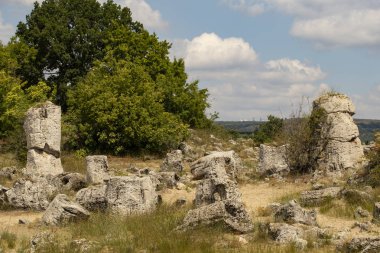Taş çöl olarak da bilinen, dikilmiş taşlar. Varna eyaletinin ev formları. Bulgaristan 'ın kaya oluşumları. Taş orman.