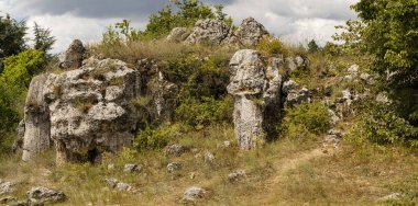 Taş çöl olarak da bilinen, dikilmiş taşlar. Varna eyaletinin ev formları. Bulgaristan 'ın kaya oluşumları. Taş orman.