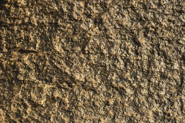 Felsplatte Farbige Steinoberfläche Hauswand Geologie Und Metamorphe Gesteine — Stockfoto