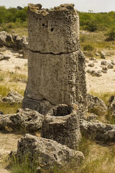 Pierres Plantées Également Connu Sous Nom Désert Pierre Landforms Varna — Photo