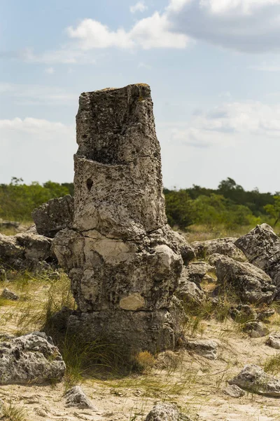 Taş çöl olarak da bilinen, dikilmiş taşlar. Varna eyaletinin ev formları. Bulgaristan 'ın kaya oluşumları. Taş orman.