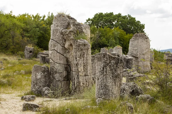 Taş çöl olarak da bilinen, dikilmiş taşlar. Varna eyaletinin ev formları. Bulgaristan 'ın kaya oluşumları. Taş orman.