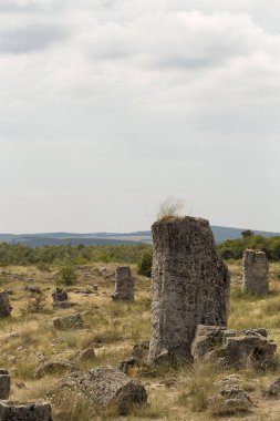 Taş çöl olarak da bilinen, dikilmiş taşlar. Varna eyaletinin ev formları. Bulgaristan 'ın kaya oluşumları. Taş orman.