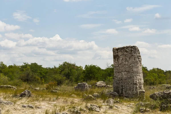 Piedras Plantadas También Conocido Como Desierto Piedra Landforms Provincia Varna — Foto de Stock