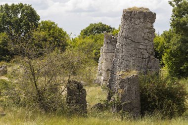 Taş çöl olarak da bilinen, dikilmiş taşlar. Varna eyaletinin ev formları. Bulgaristan 'ın kaya oluşumları. Taş orman.