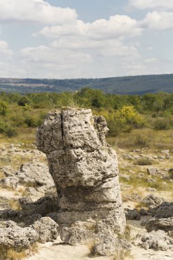 Taş çöl olarak da bilinen, dikilmiş taşlar. Varna eyaletinin ev formları. Bulgaristan 'ın kaya oluşumları. Taş orman.
