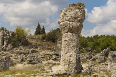 Taş çöl olarak da bilinen, dikilmiş taşlar. Varna eyaletinin ev formları. Bulgaristan 'ın kaya oluşumları. Taş orman.