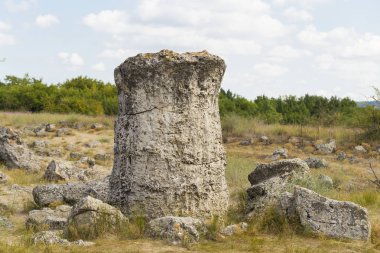Taş çöl olarak da bilinen, dikilmiş taşlar. Varna eyaletinin ev formları. Bulgaristan 'ın kaya oluşumları. Taş orman.