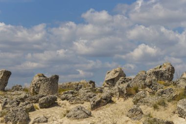Taş çöl olarak da bilinen, dikilmiş taşlar. Varna eyaletinin ev formları. Bulgaristan 'ın kaya oluşumları. Taş orman.