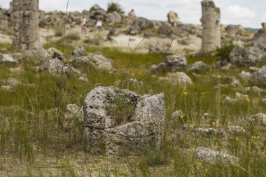 Taş çöl olarak da bilinen, dikilmiş taşlar. Varna eyaletinin ev formları. Bulgaristan 'ın kaya oluşumları. Taş orman.
