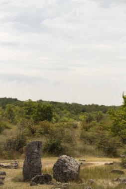 Taş çöl olarak da bilinen, dikilmiş taşlar. Varna eyaletinin ev formları. Bulgaristan 'ın kaya oluşumları. Taş orman.