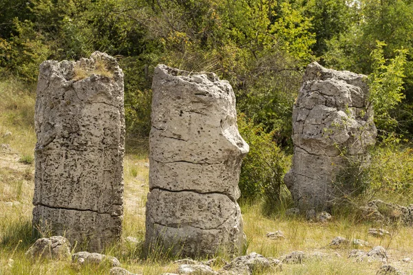 Piedras Plantadas También Conocido Como Desierto Piedra Landforms Provincia Varna — Foto de Stock