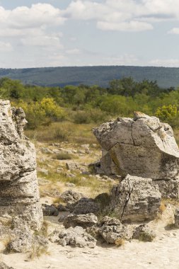 Taş çöl olarak da bilinen, dikilmiş taşlar. Varna eyaletinin ev formları. Bulgaristan 'ın kaya oluşumları. Taş orman.
