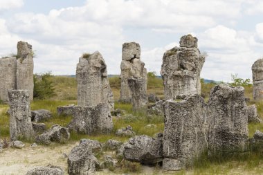 Taş çöl olarak da bilinen, dikilmiş taşlar. Varna eyaletinin ev formları. Bulgaristan 'ın kaya oluşumları. Taş orman.