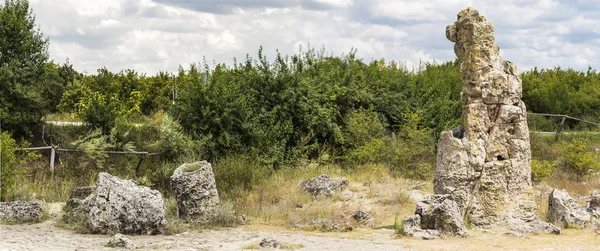 Pierres Plantées Également Connu Sous Nom Désert Pierre Landforms Varna — Photo