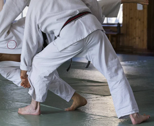 Sports, martial arts. Aikido, Aikibudo, JIU Jitsu - training throwing technique.