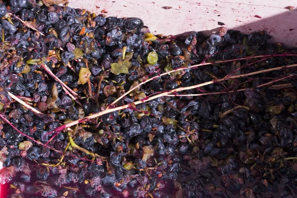Vinframställning Tekniken För Vinproduktion Den Folkliga Traditionen Att Göra Vin — Stockfoto