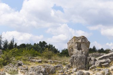 Taş çöl olarak da bilinen, dikilmiş taşlar. Varna eyaletinin ev formları. Bulgaristan 'ın kaya oluşumları. Taş orman.
