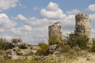 Taş çöl olarak da bilinen, dikilmiş taşlar. Varna eyaletinin ev formları. Bulgaristan 'ın kaya oluşumları. Taş orman.