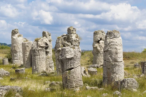 Taş çöl olarak da bilinen, dikilmiş taşlar. Varna eyaletinin ev formları. Bulgaristan 'ın kaya oluşumları. Taş orman.