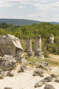 Taş çöl olarak da bilinen, dikilmiş taşlar. Varna eyaletinin ev formları. Bulgaristan 'ın kaya oluşumları. Taş orman.