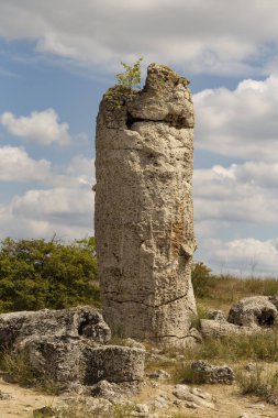 Taş çöl olarak da bilinen, dikilmiş taşlar. Varna eyaletinin ev formları. Bulgaristan 'ın kaya oluşumları. Taş orman.